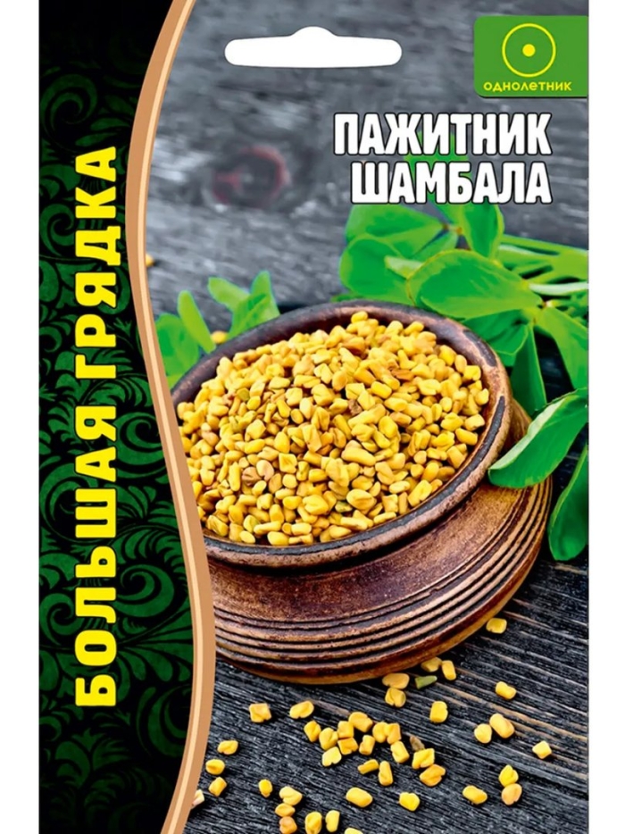 Пажитник шамбала