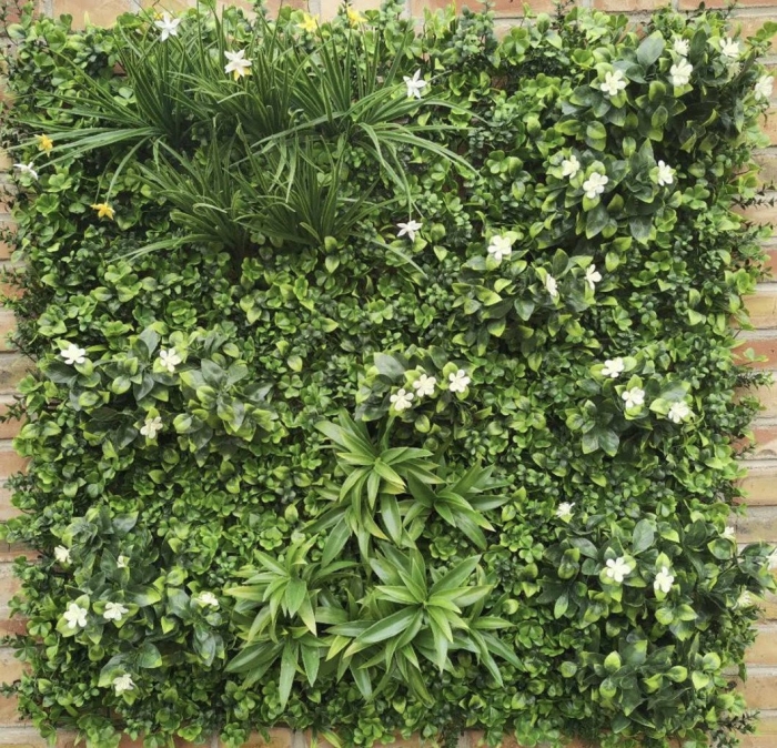 Фитостена самшит