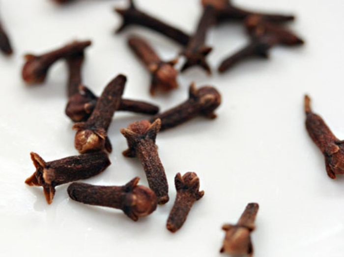 Гвоздика приправа