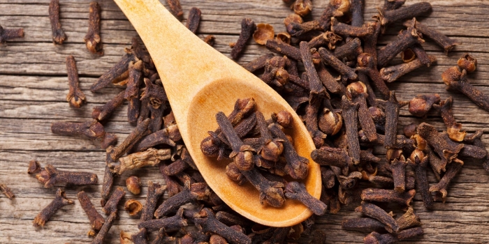 Гвоздика пряность