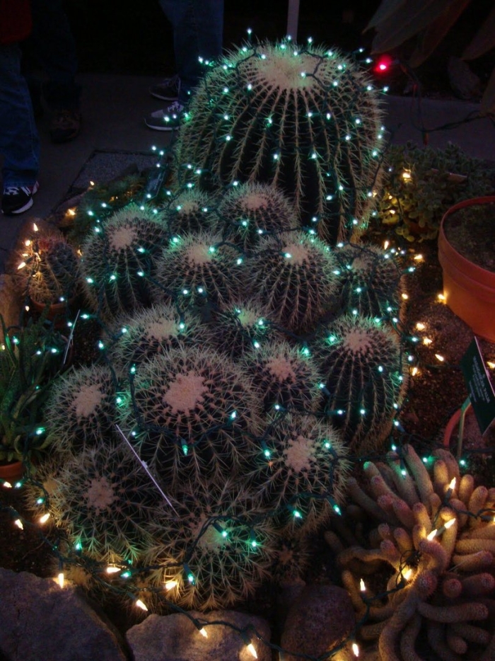 Новогодний кактус