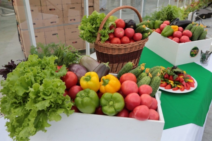 Тепличные овощи