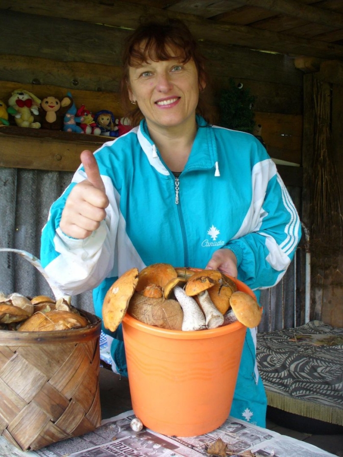 Попутчица гриб