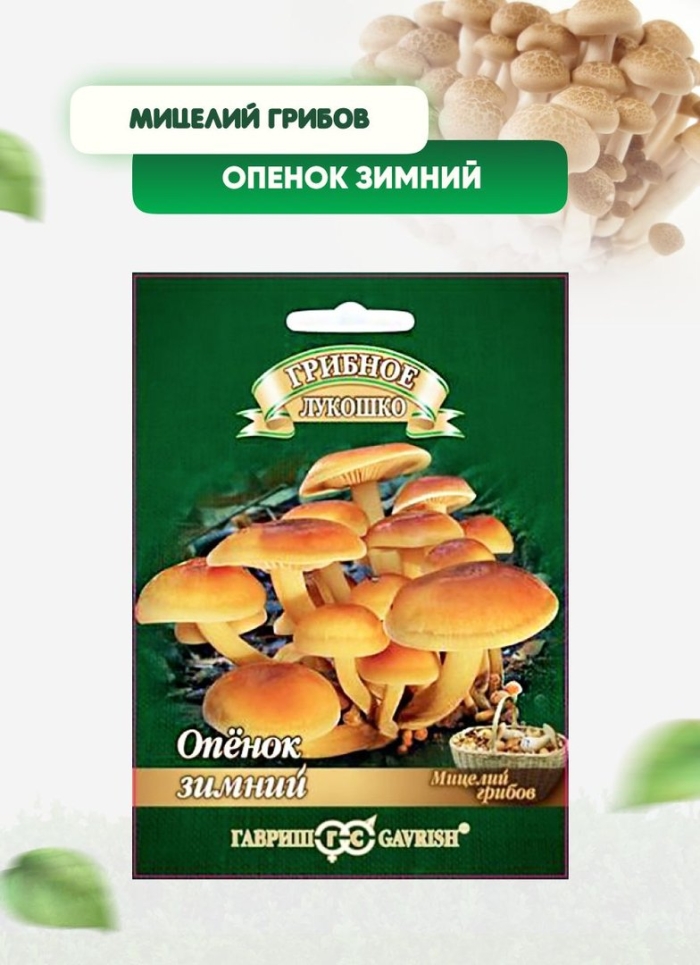 Мицелий грибов опенок зимний гавриш