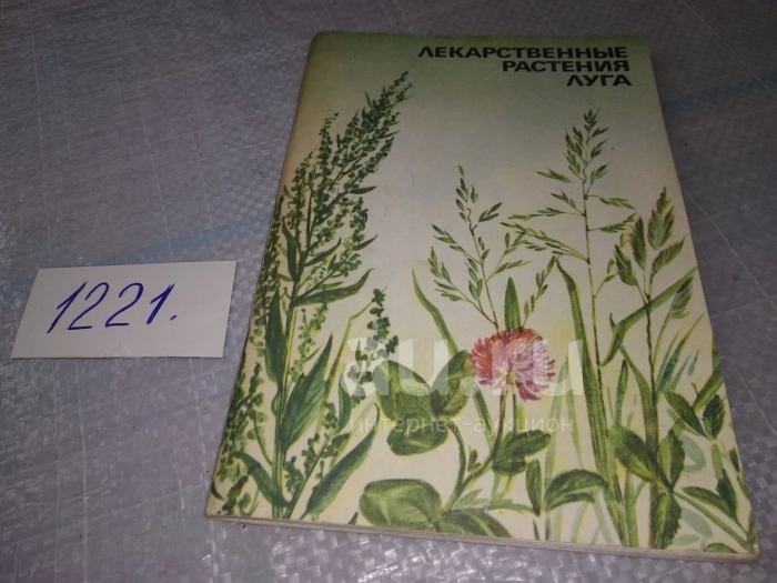 Лекарственные растения луга