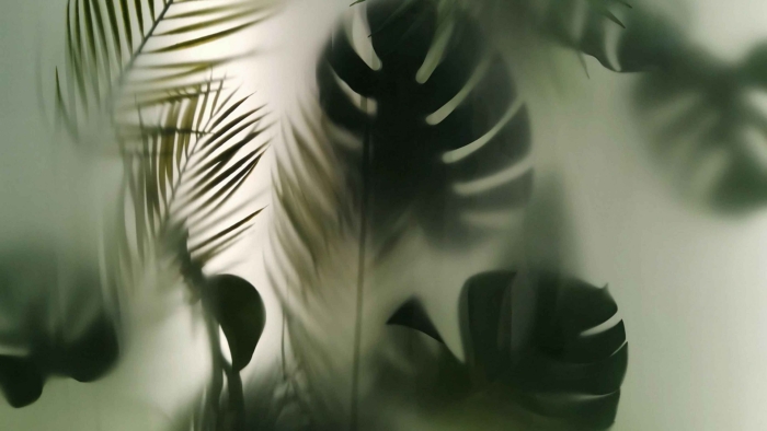 Растения за стеклом