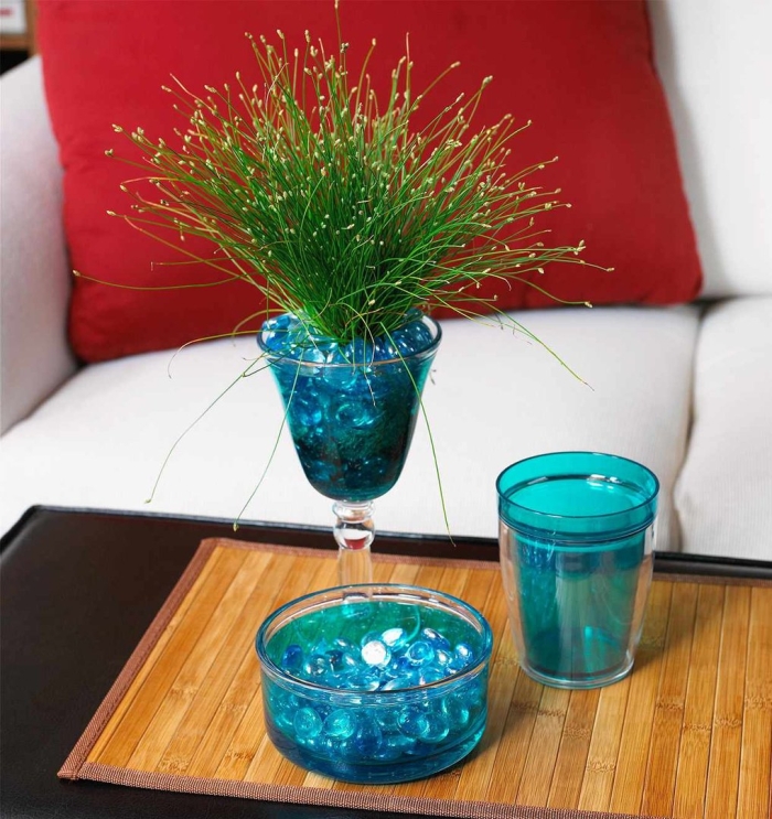 Изолепис поникший