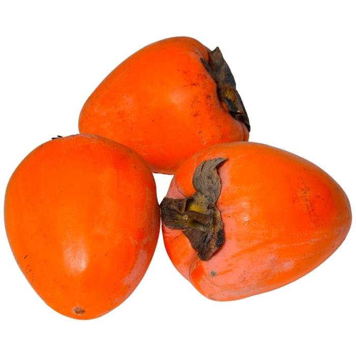 Хурма сорт шишбурун