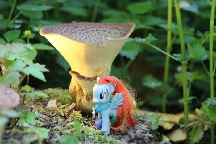 Игрушка my little pony пони рейнбоу дэш