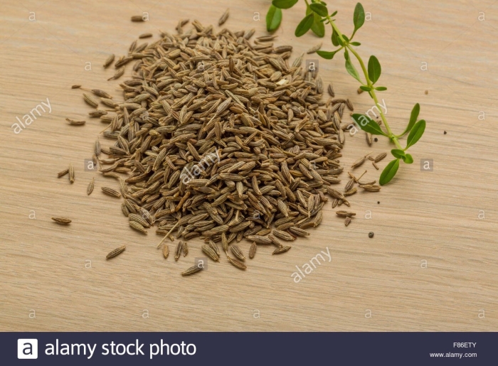 Зира растение