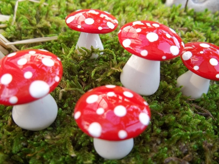 Мухомор в саду