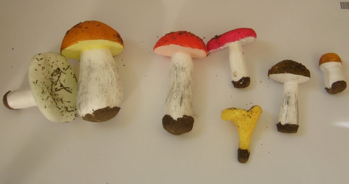 Набор муляжей грибов