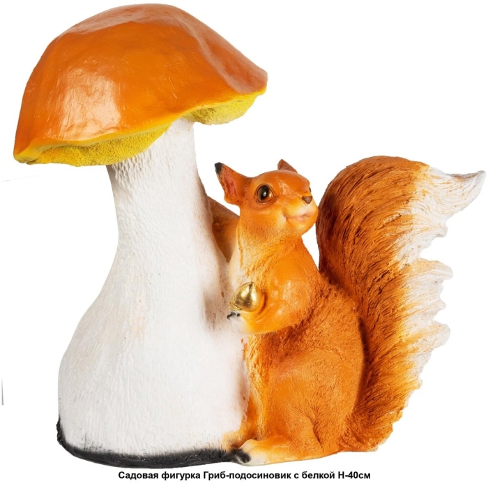 Грибы подосиновик