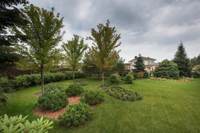 Сканди ландшафт участка