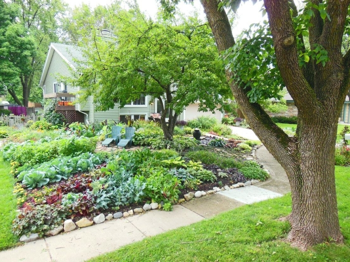 Front yard landscaping ideas