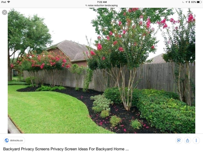 Backyard landscaping