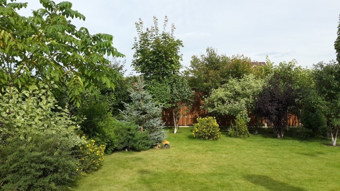 Малоуходный сад александр сапелин