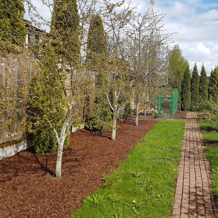 Мульча березовая