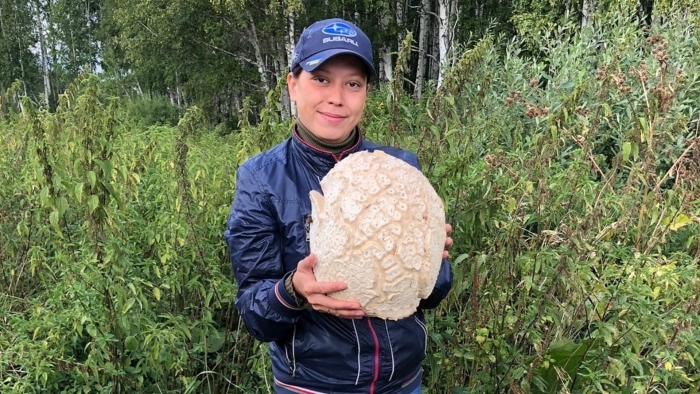 Грибы в башкирии