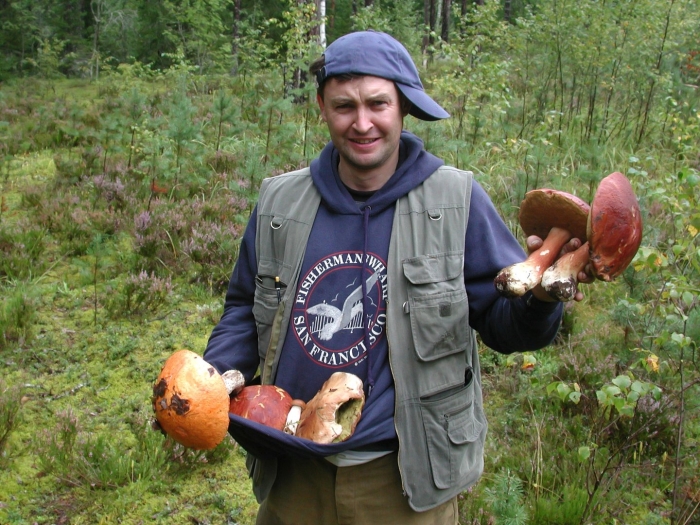 Грибник в лесу