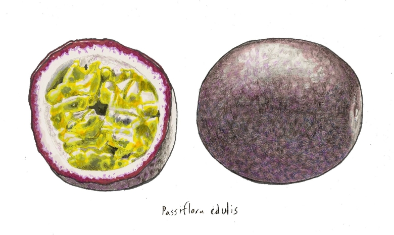 Зукко маракуйя