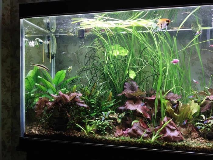 Аквариум травник 120л