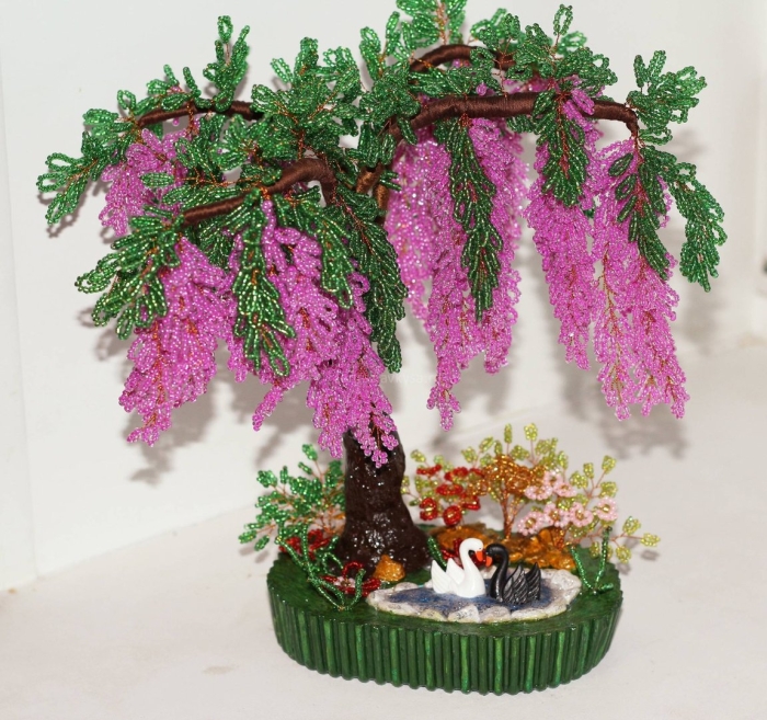 Бисерные деревья глициния