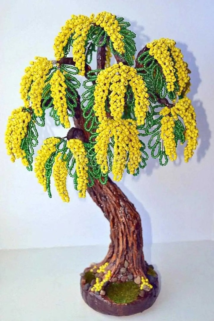 Дерево мимоза бисер