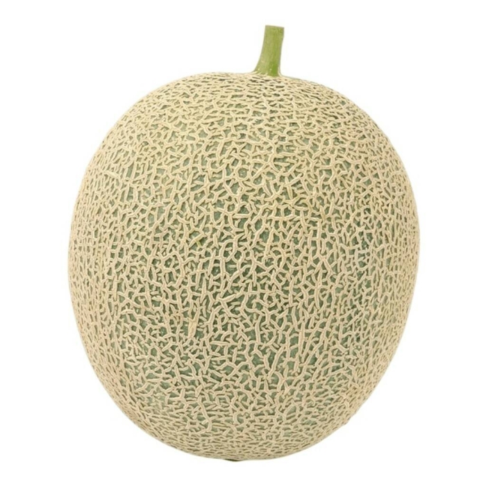 Melon fruit