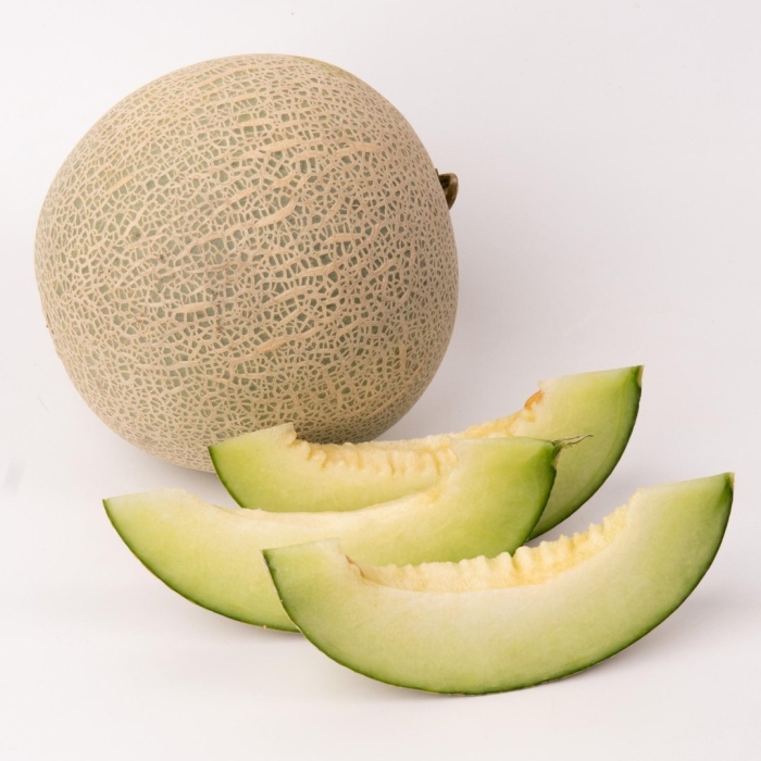 Канталупа дыня