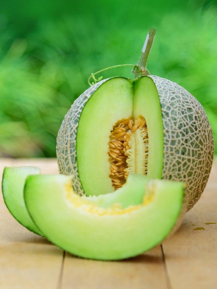 Дыня зеленая