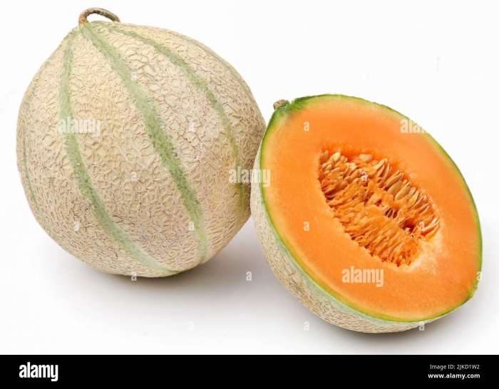 Cucumis melo var cantalupensis
