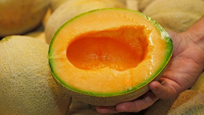 Королевская дыня юбари