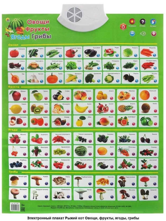 Звуковой плакат овощи фрукты ягоды грибы