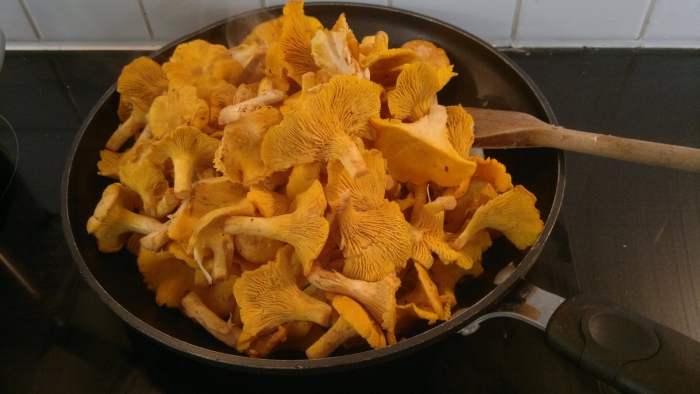 Печенье грибы лисички