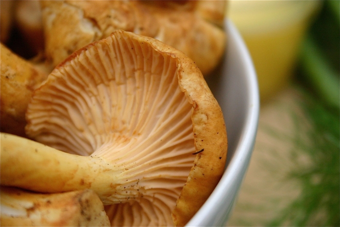 Лисички польза