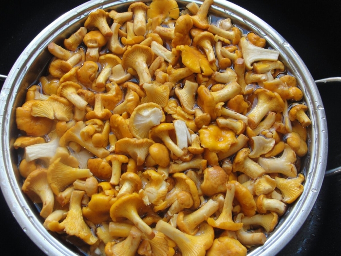 Как приготовить грибы лисички