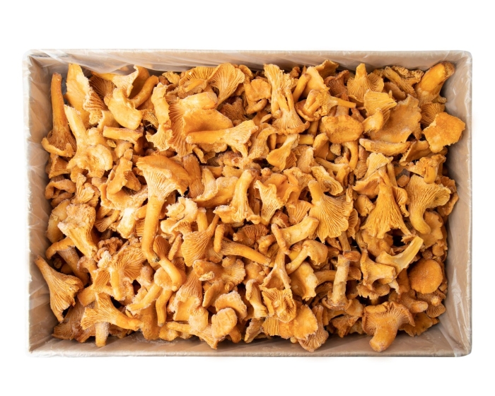 Лисички сушеные