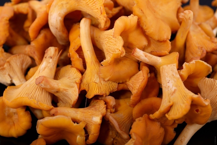 Лисички замороженные