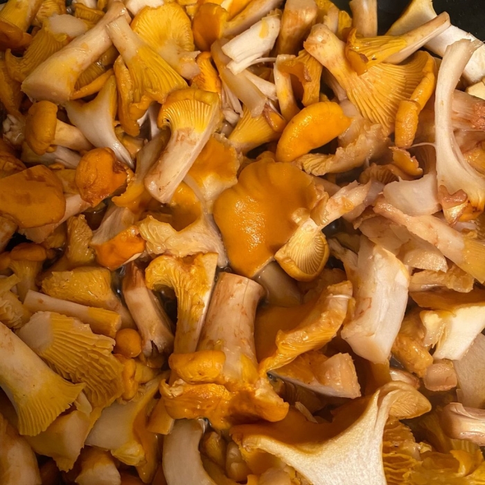 Лисички грибы приготовление