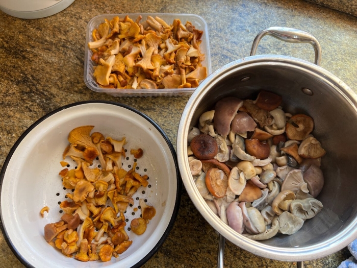 Грибы рецепты