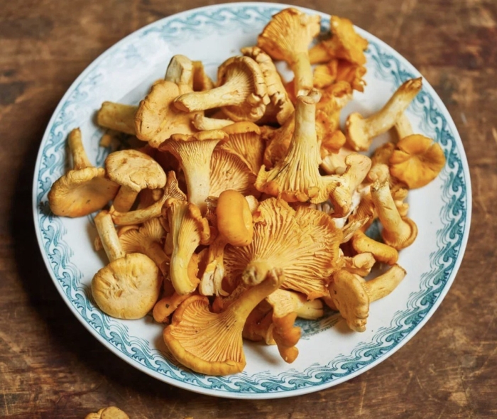 Блюда из лисичек