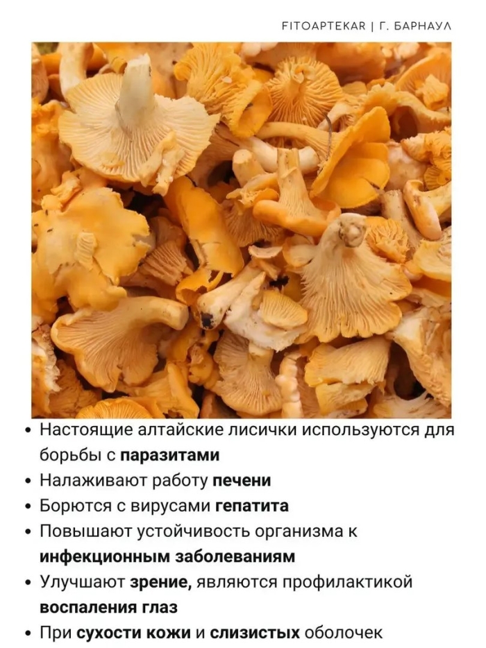 Лисички от паразитов