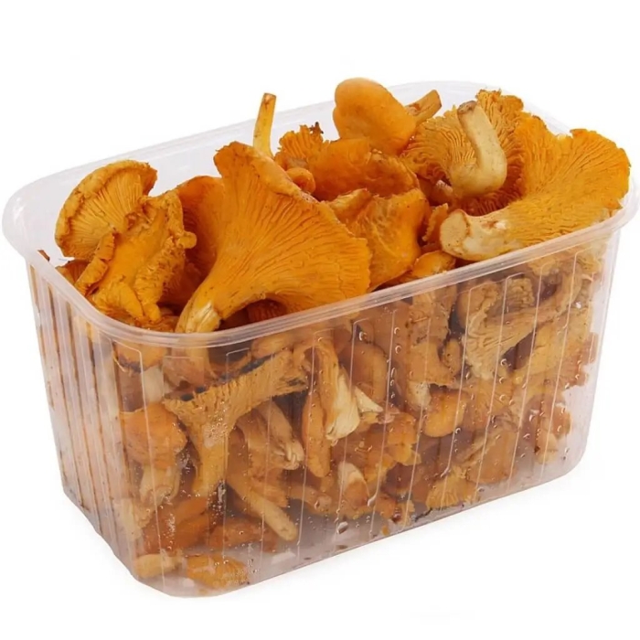 Лисички свежие