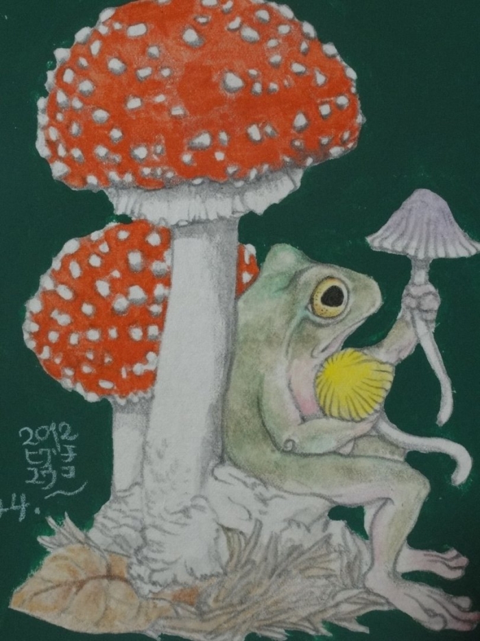 Мухомор инди кид