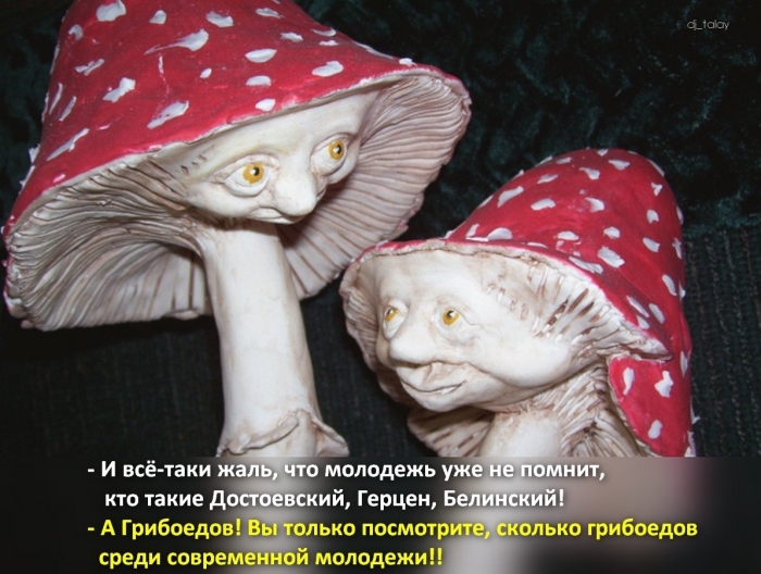 Прикольный мухомор