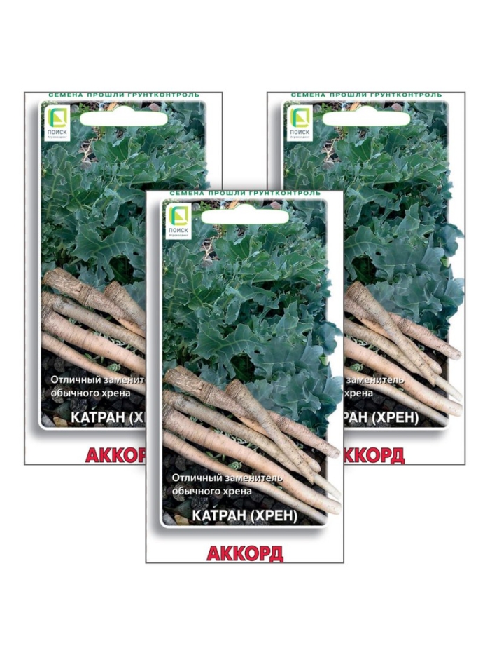 Катран хрен аккорд
