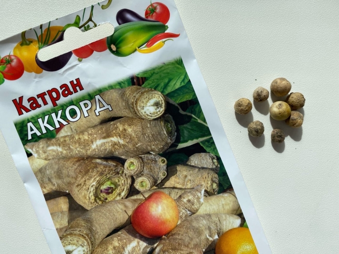 Семена катрана хрена