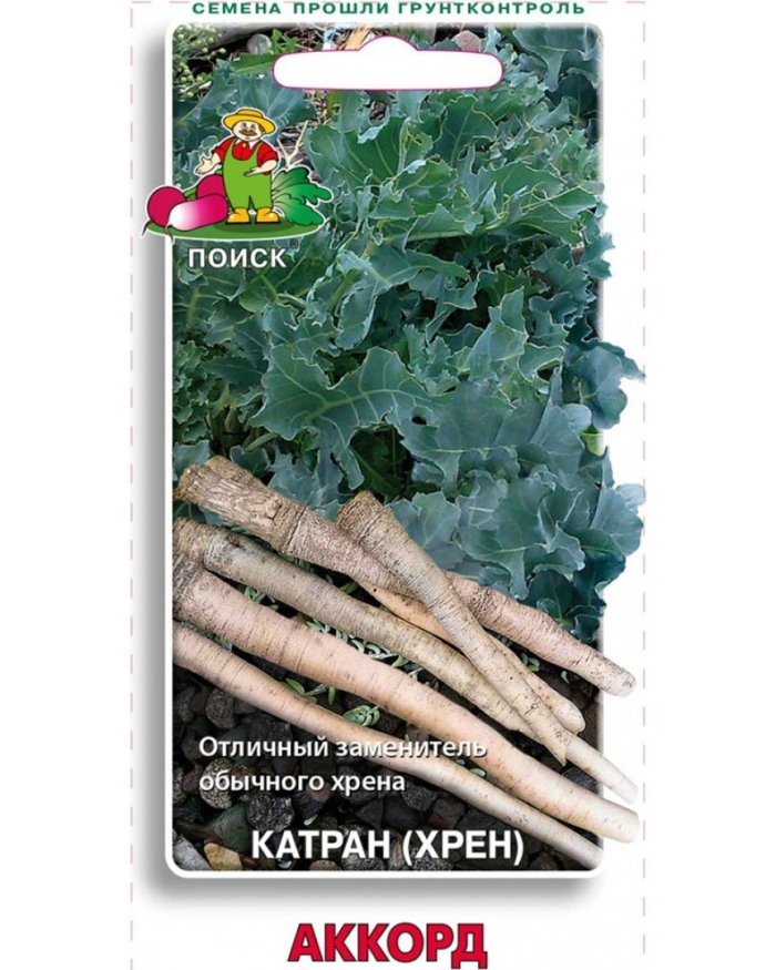 Катран хрен аккорд