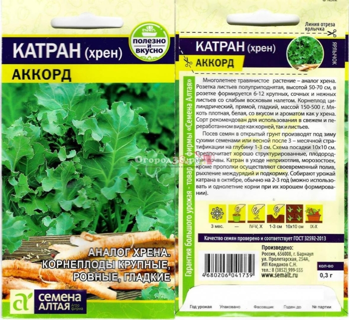 Катран хрен аккорд